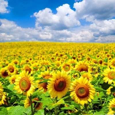 加强区域联动 开拓金融协同发展新路径